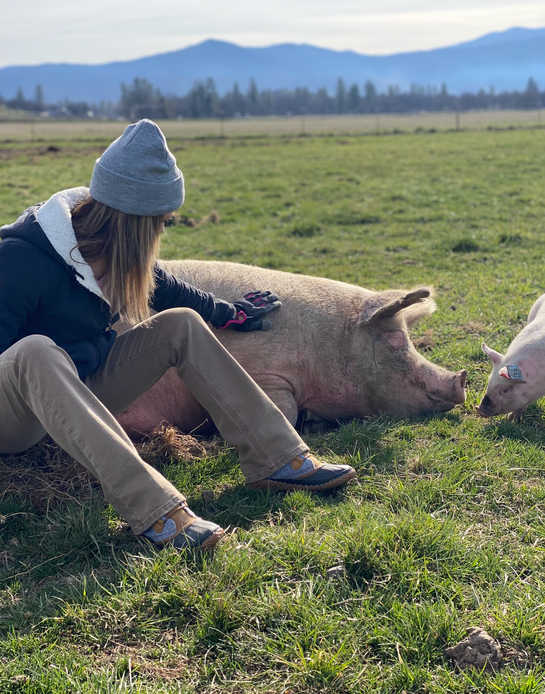 Embracing Ethical Pig Farming: A Journey Towards Sustainable Agriculture