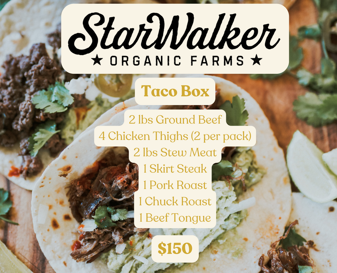 Organic Taco Box