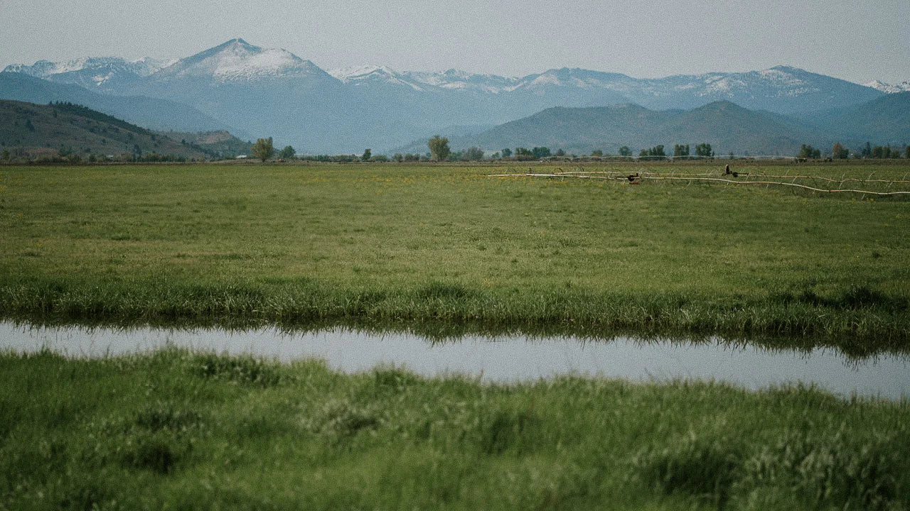Pasture and mountains at StarWalker