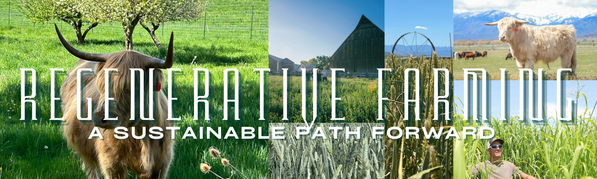The Transformative Power of Regenerative Agriculture: A Sustainable Path Forward