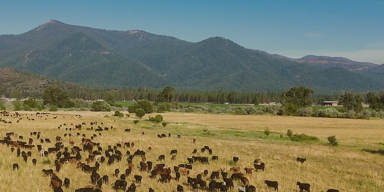 BETTER FOR THE LAND, BETTER FOR YOU.