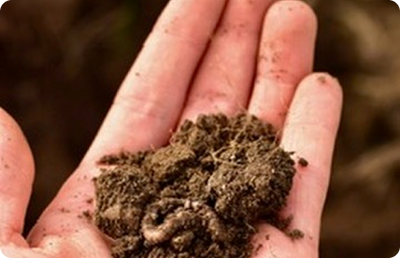 CARBON SEQUESTERING METHODS