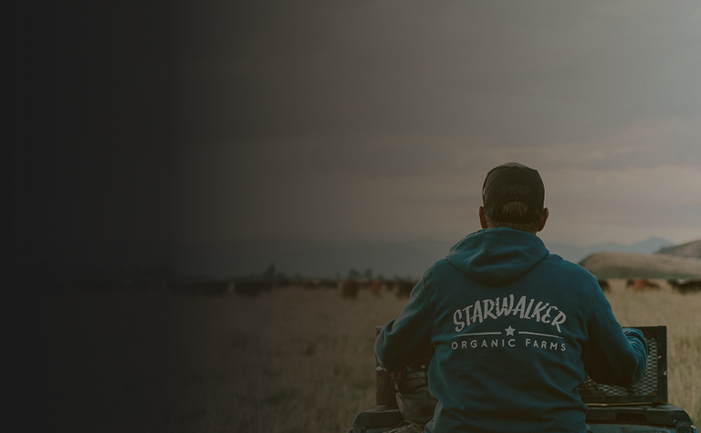 THREE GENERATIONS.
ONE MISSION. ZERO COMPROMISES.