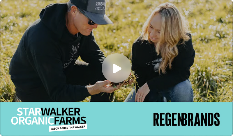 REGENBRANDS PODCAST INTERVIEW