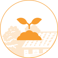 SOIL FIRST