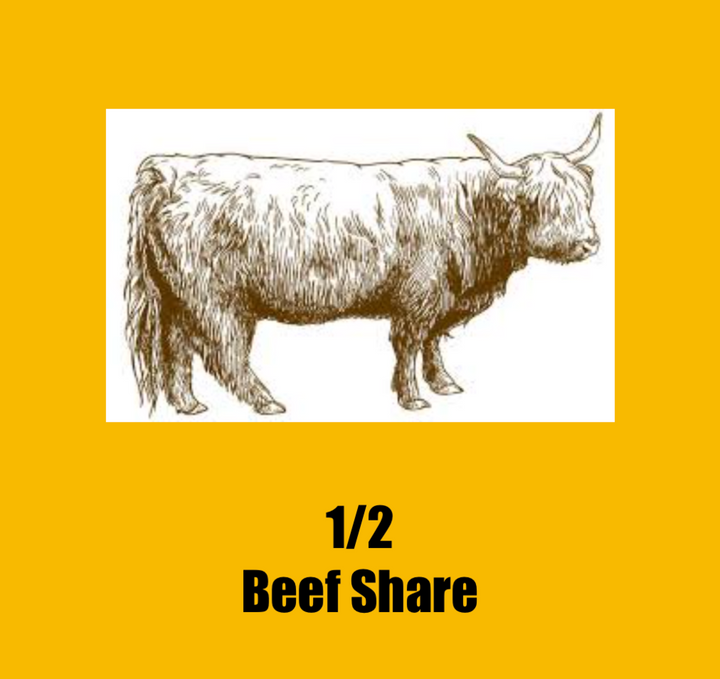 1/2 Cow Beef Bundle