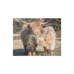 Highland Cow Jigsaw puzzle
